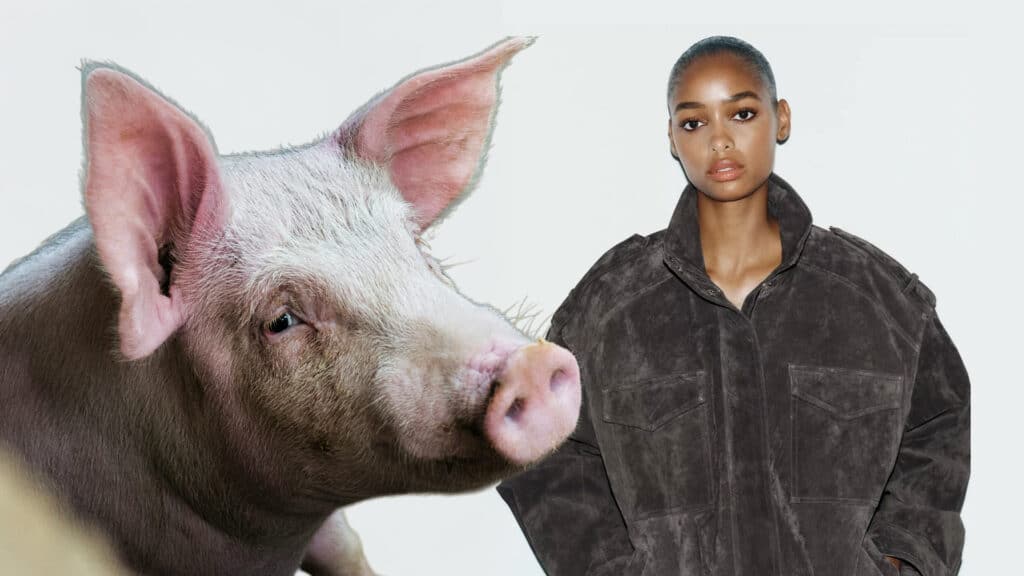 Коллаж kursiv.media, бильд-редактор: Дастан Шанай