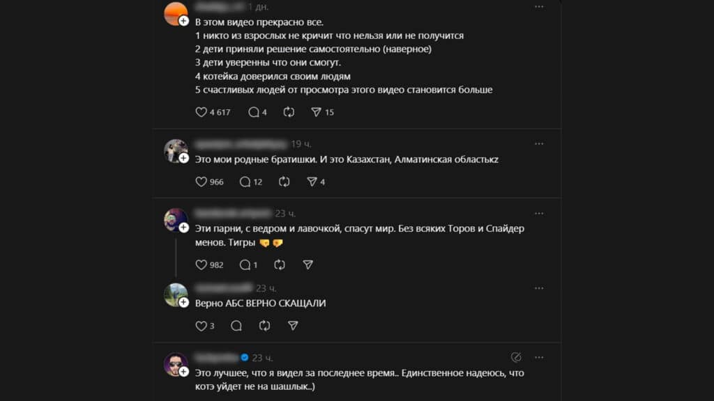 мальчишки спасли котенка