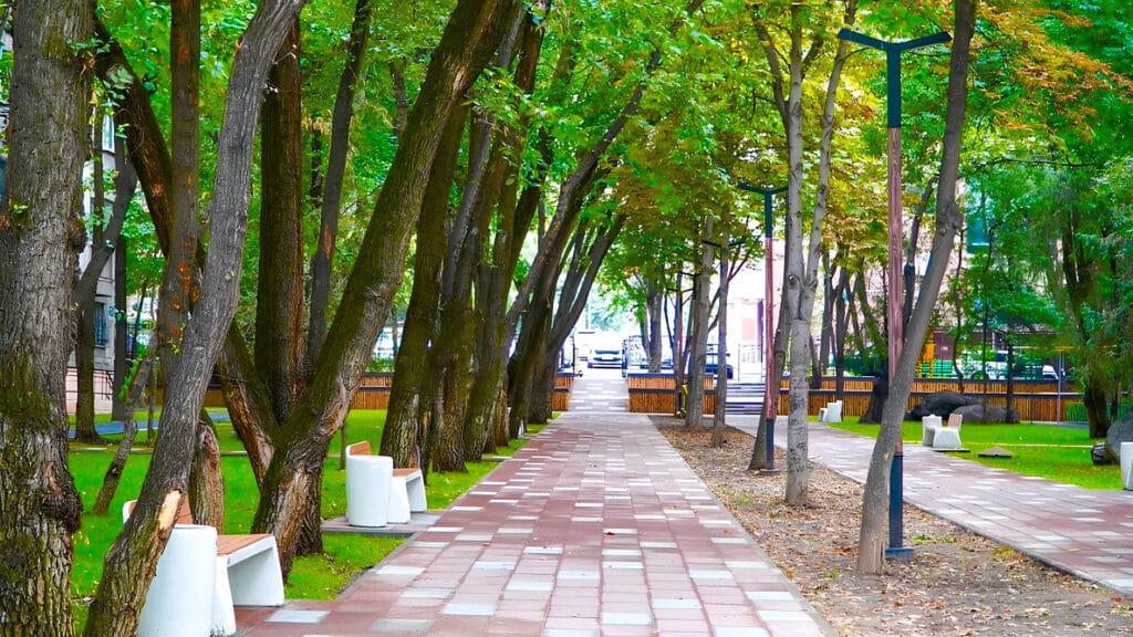 Фото: акимат Алматы, бильд-редактор: Адэлина Мамедова