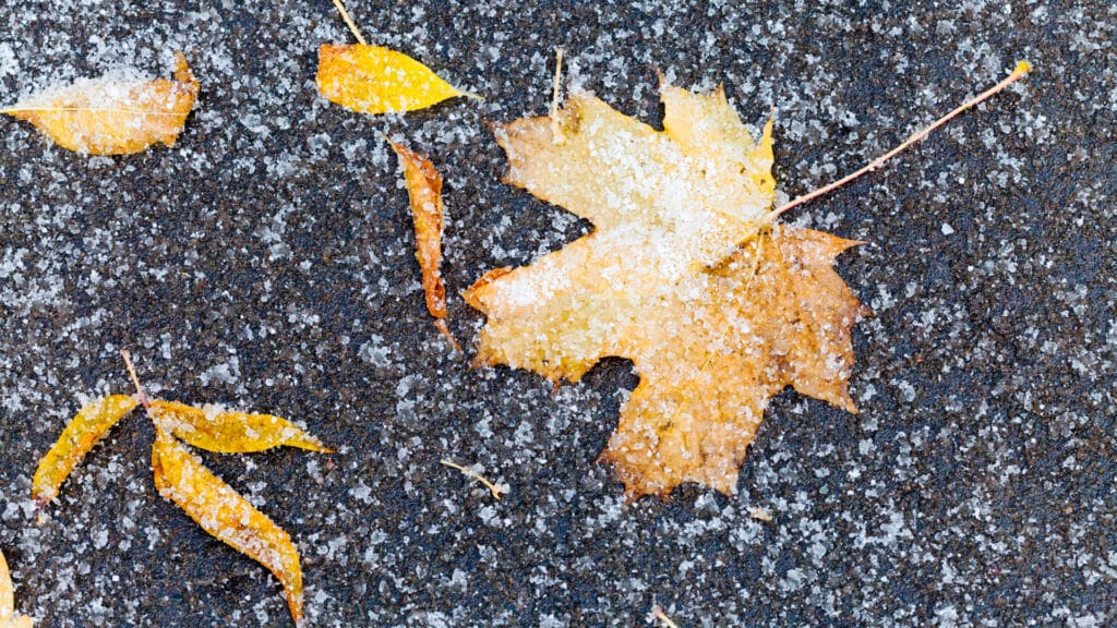 первый снег