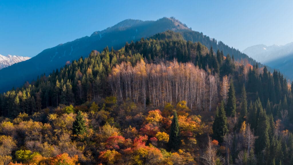 Фото: shutterstock, бильд-редактор: Адэлина Мамедова