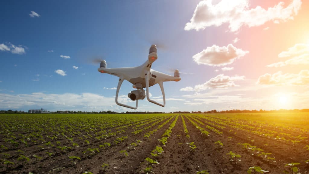 Возвратить неиспользуемые сельхозземли с помощью ИИ поручил Токаев