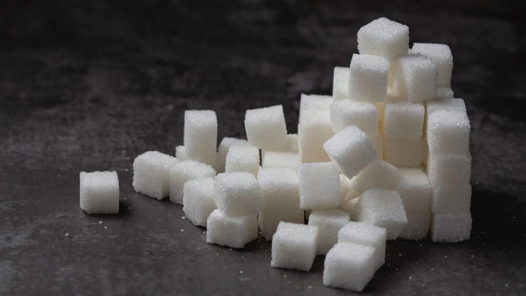 ОАЭ построят крупнейший сахарный завод в Казахстане за 310 млрд тенге