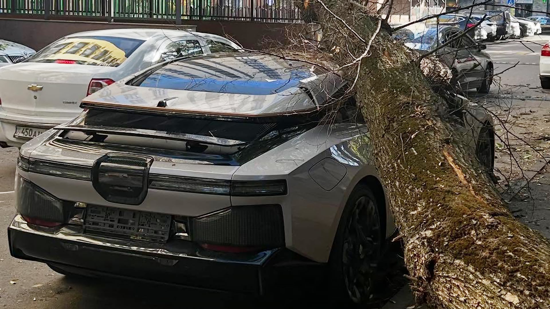 упавшее дерево, упало дерево в Алматы, дерево упало на машину, падение дерева