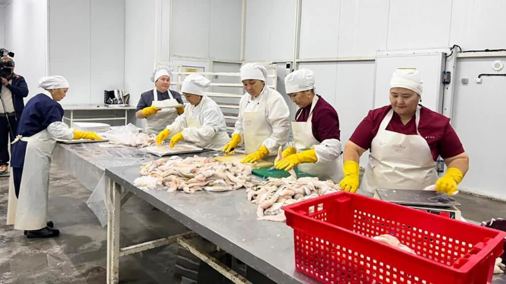 Рыбный завод близ Аральска будет поставлять филе судака в Германию, Данию и Норвегию