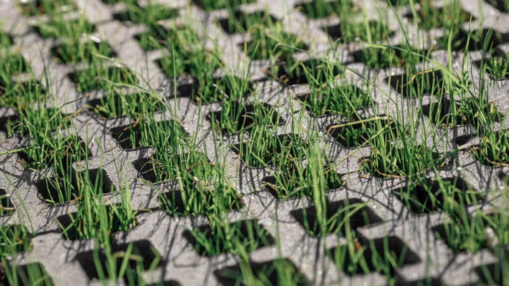 Фото: shutterstock, бильд-редактор: Адэлина Мамедова