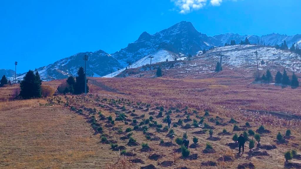 Фото: Kursiv LifeStyle