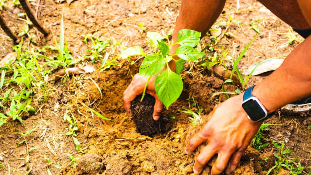 Фото: unsplash.com, бильд-редактор: Адэлина Мамедова