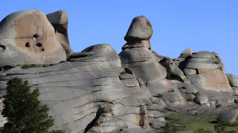 The phallus collectors: Why are people obsessed with genitals and their symbols