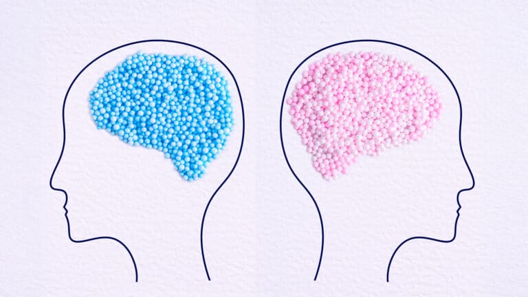 Men’s brains shrink faster with age than women’s, study finds