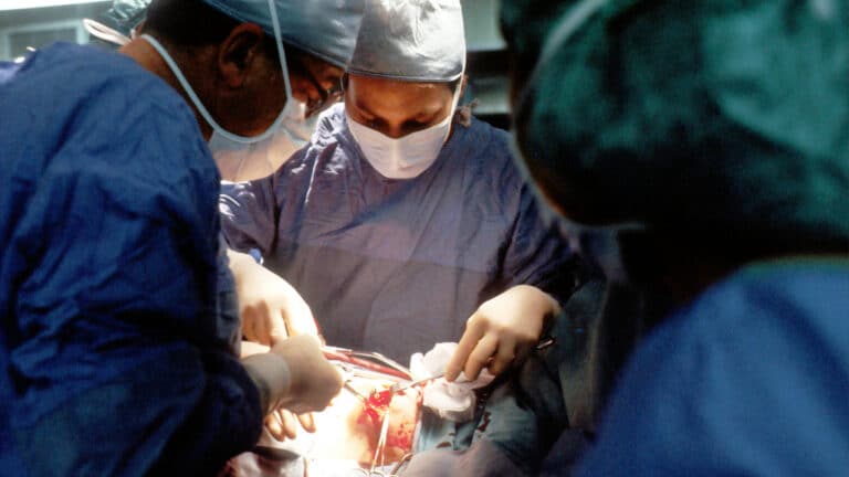 China performs world’s first pig liver transplant in a living human