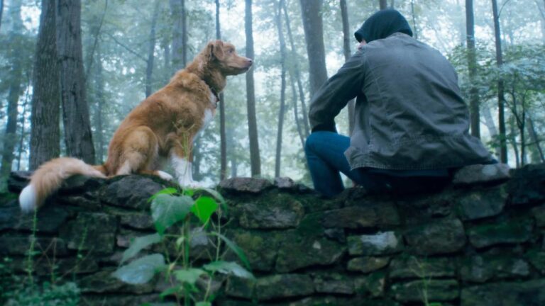 ‘Good Boy’ emerges as this fall’s breakout horror hit