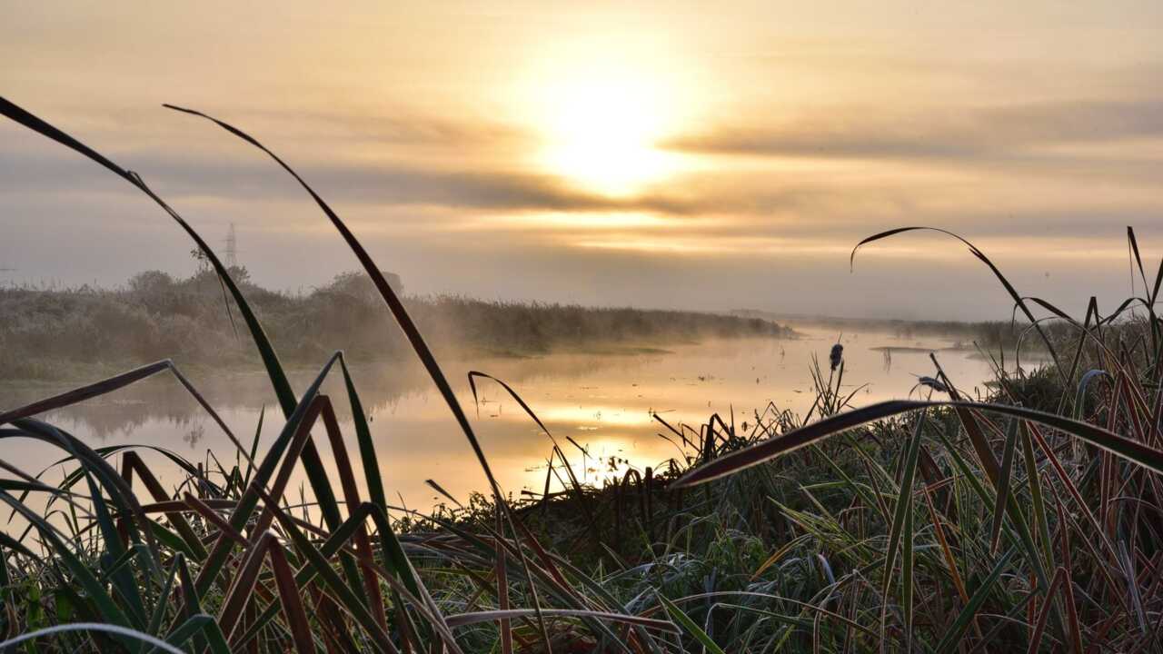 Растаусыз сағат жаңбыр жауып тұрғанда, оны аялдамада ренжітті