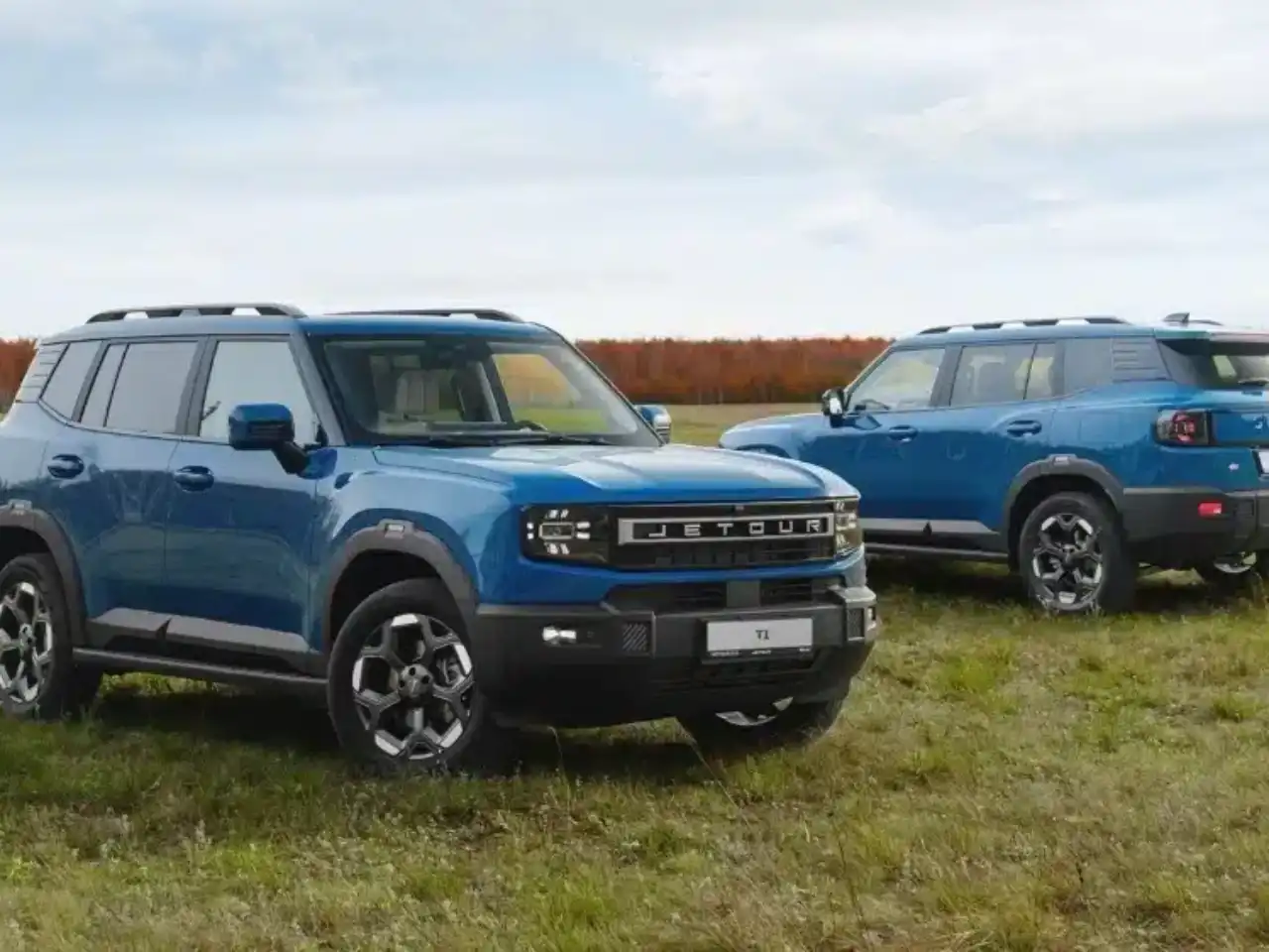 Шорттағы бөкселердің фотосуреттері