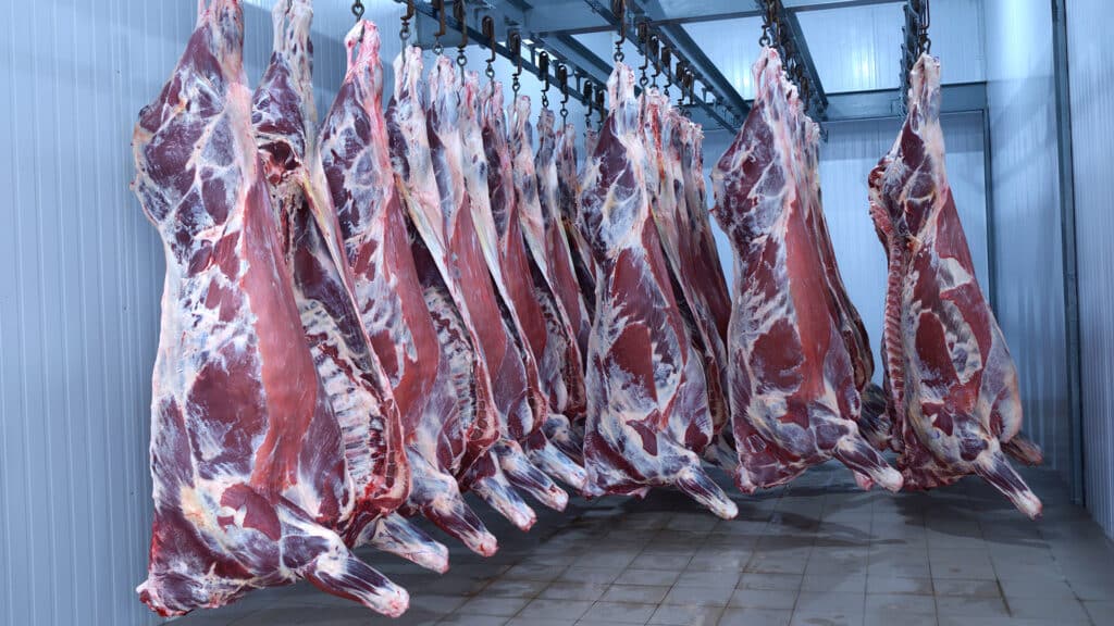 Казахстан покрывает недостаток говядины за счет импорта