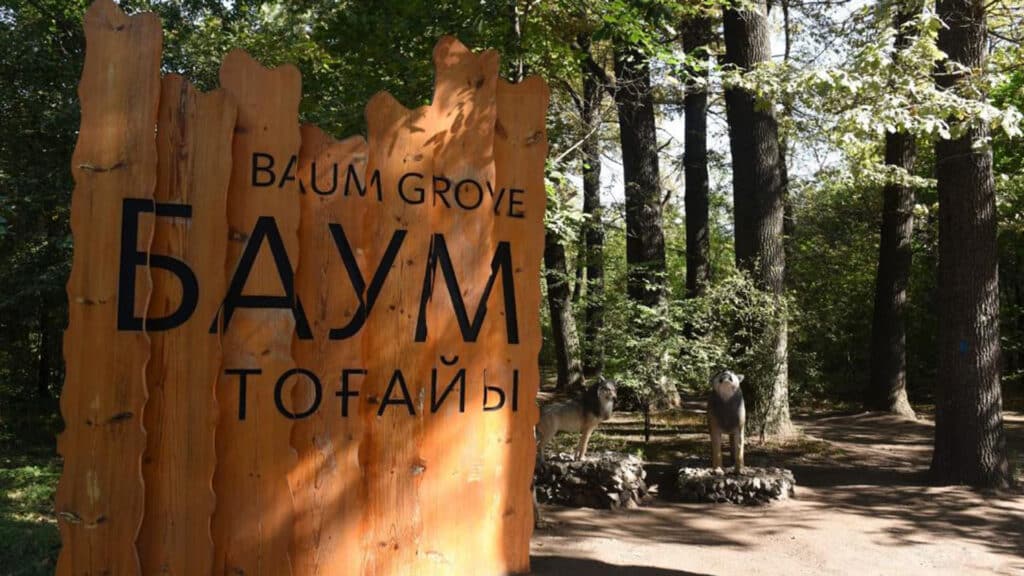 в роще Баума