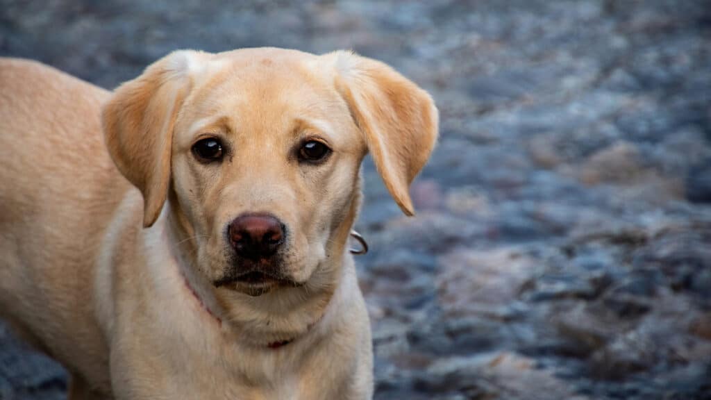 Фото: unsplash.com, бильд-редактор: Адэлина Мамедова