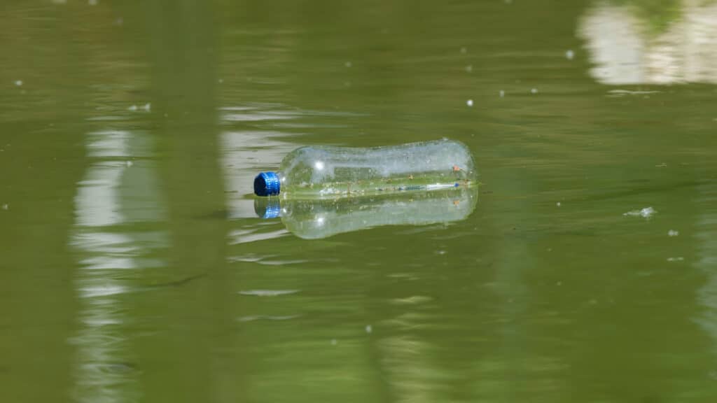 Реки Актюбинской области загрязнены токсинами