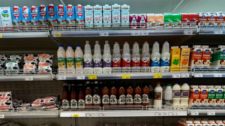 Camel and mare’s milk set for massive China launch in 300,000+ stores