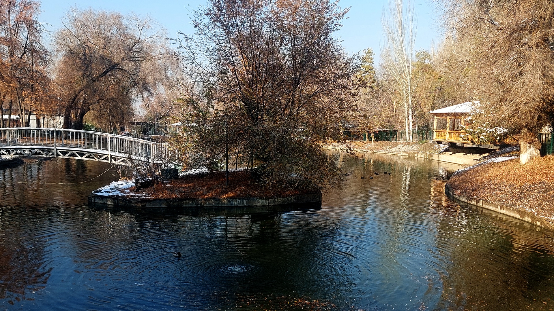 Алматинский зоопарк празднует 88 лет в атмосфере зимнего покоя