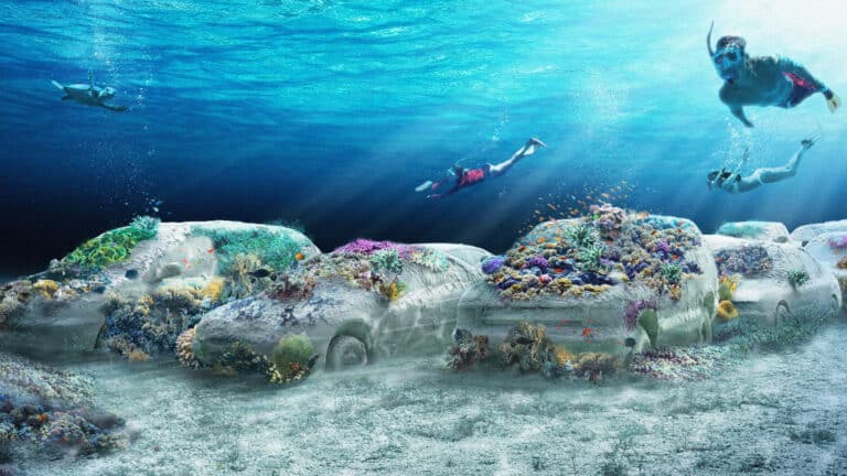 Artists and scientists unite to rebuild coral reefs off Miami Beach