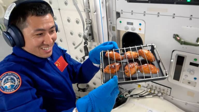 More stars than any Michelin meal: Chinese astronauts bake wings in space