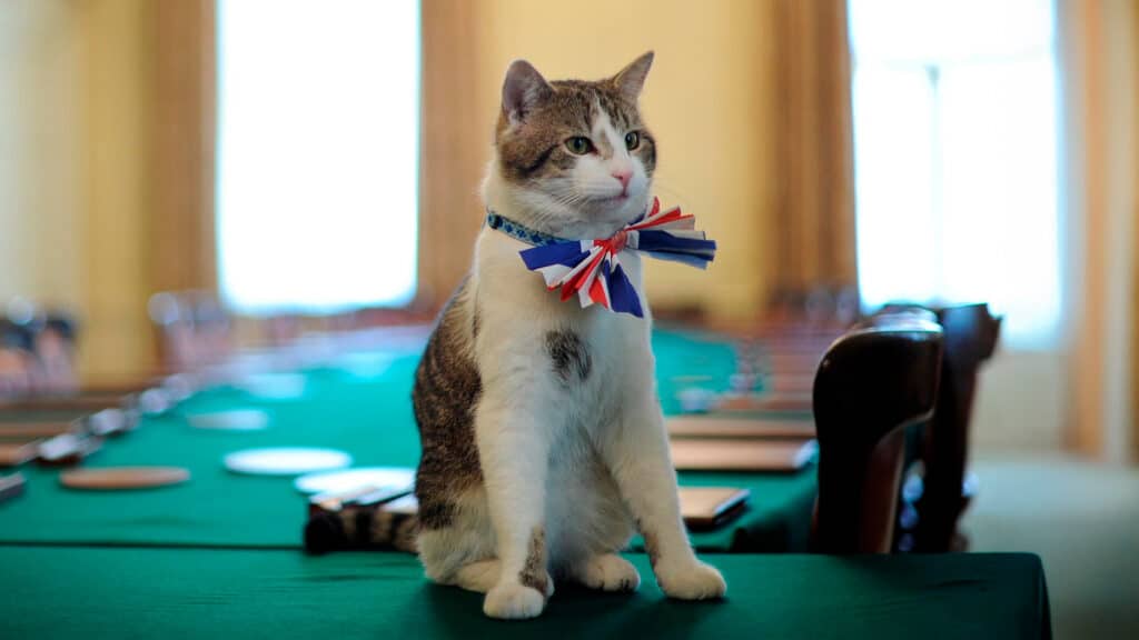 Про кота, живущего в резиденции премьер-министра Великобритании, снимут сериал