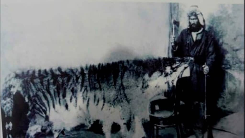 Asia’s lost king: The story of the Turan tiger