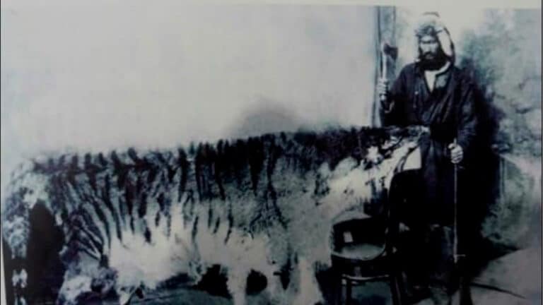 Asia’s lost king: The story of the Turan tiger