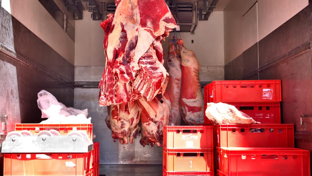 Крупные аэропорты Казахстана будут использовать для экспорта мяса