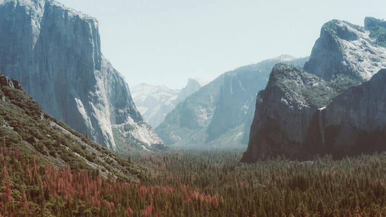 US national parks to introduce higher fees for international visitors