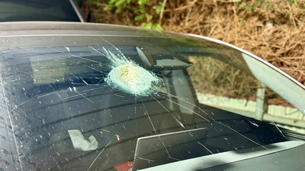 facebook.com/southaustralianmuseum/