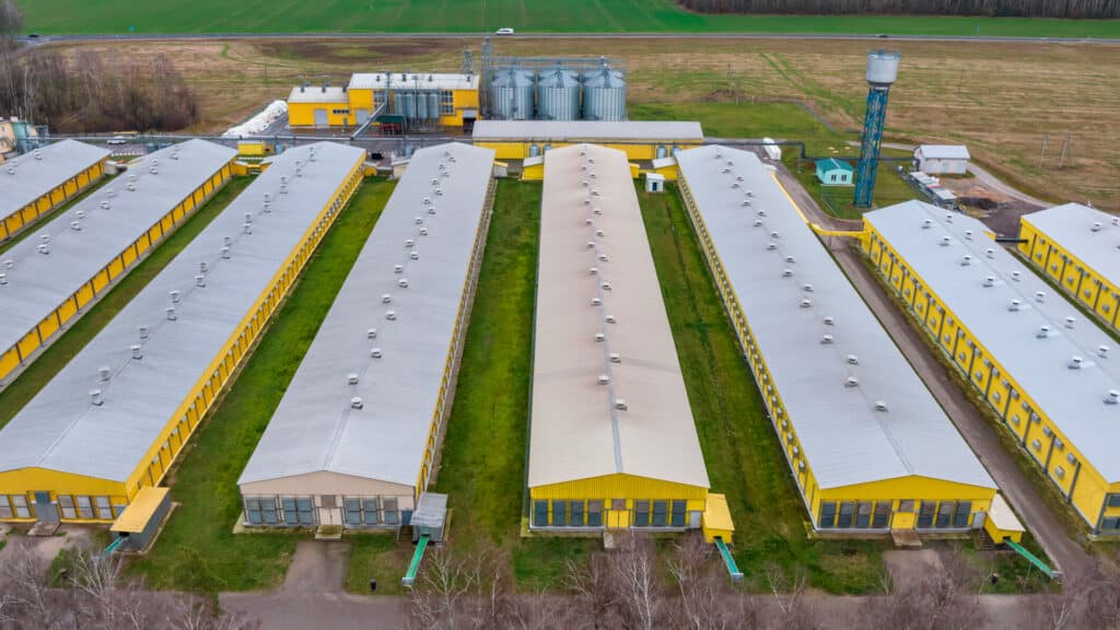 Компания миллионеров из Forbes выплатит им миллиардные дивиденды