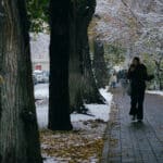 снег Алматы