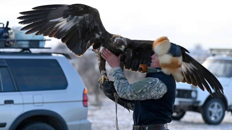 Алпамыс жыры, Салбурын және тақия ЮНЕСКО мәдени мұралар тізіміне енуі мүмкін