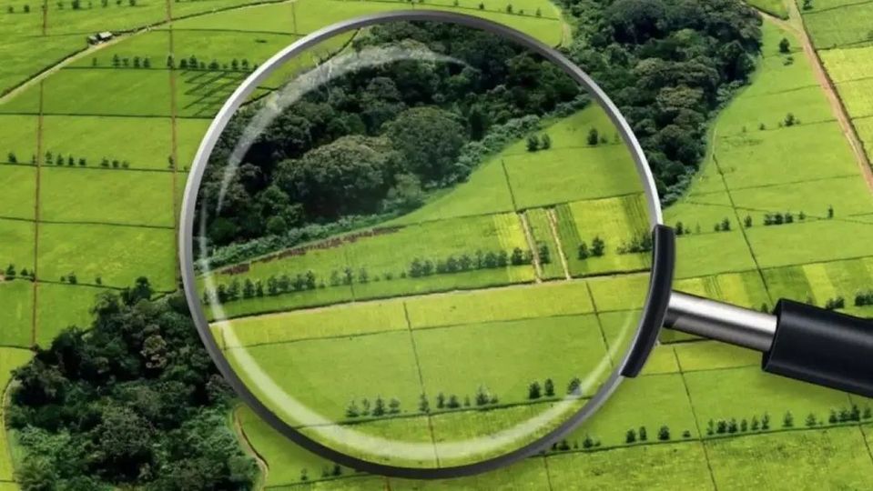 жайылым жер