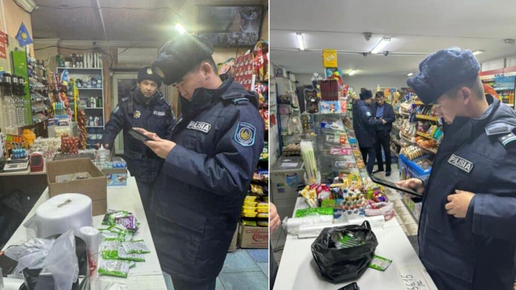 В Астане выявили 2 магазина, которые торговали насваем и снюсом
