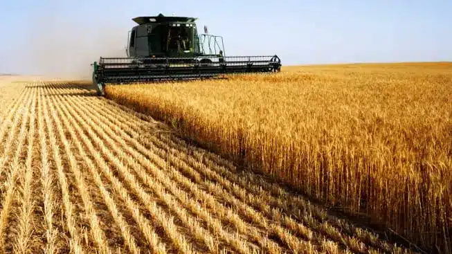 Тоқаевтың пікірінше, кәсіпкер қаржы салса, еліміздегі көптеген елді мекен көркейе түсері анық / фото: KursivMedia мұрағаты