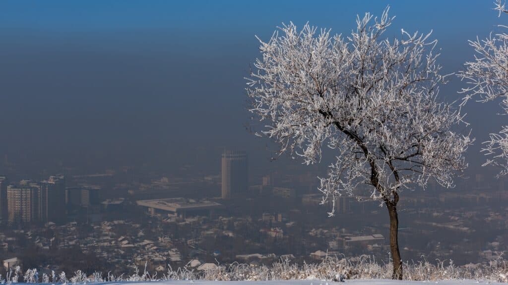 Алматы әкімдігі ауа сапасына қатысты ресми дерекке ғана сенуге кеңес берді