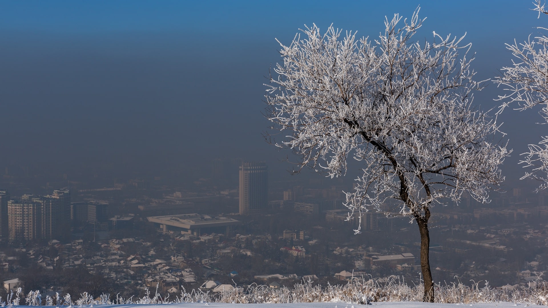 Алматы қаласы экология лас ауа түтін смог