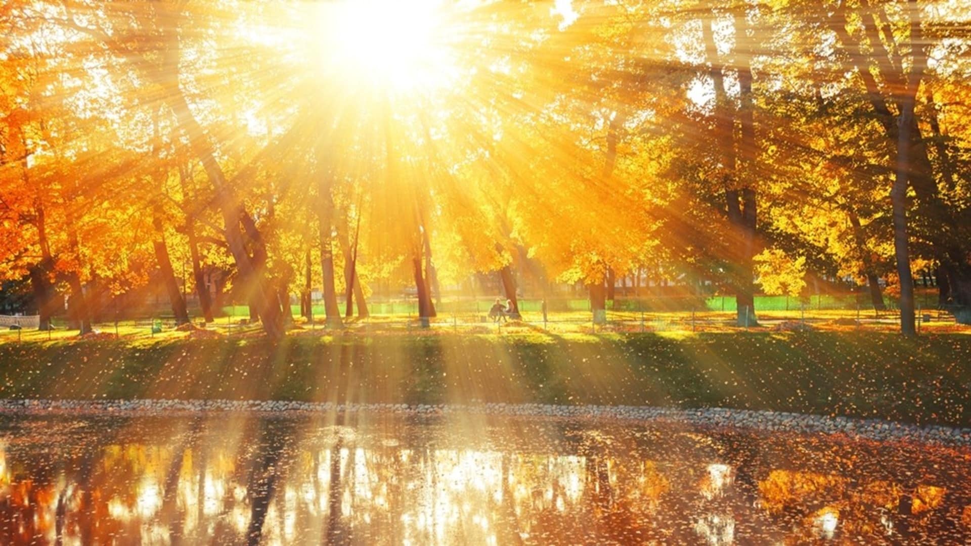 ауа райы күз