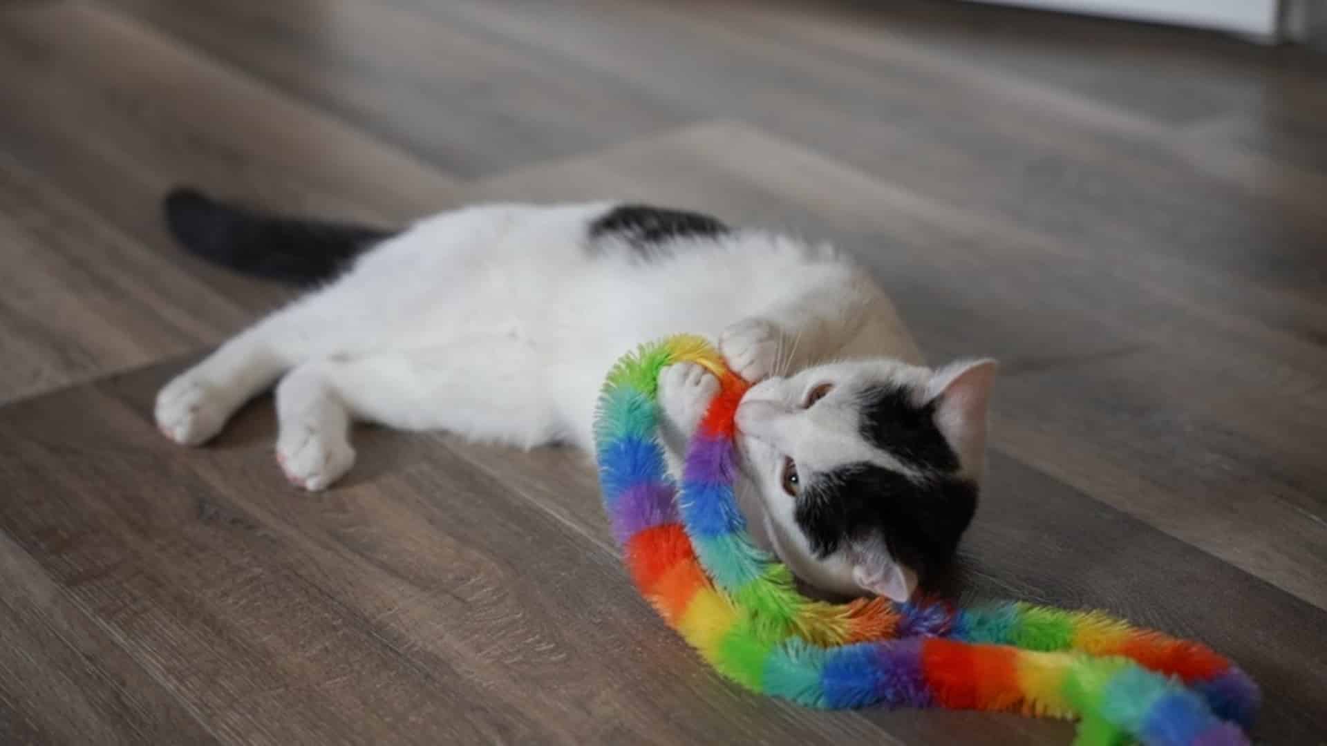 ЛГБТ ойыншық