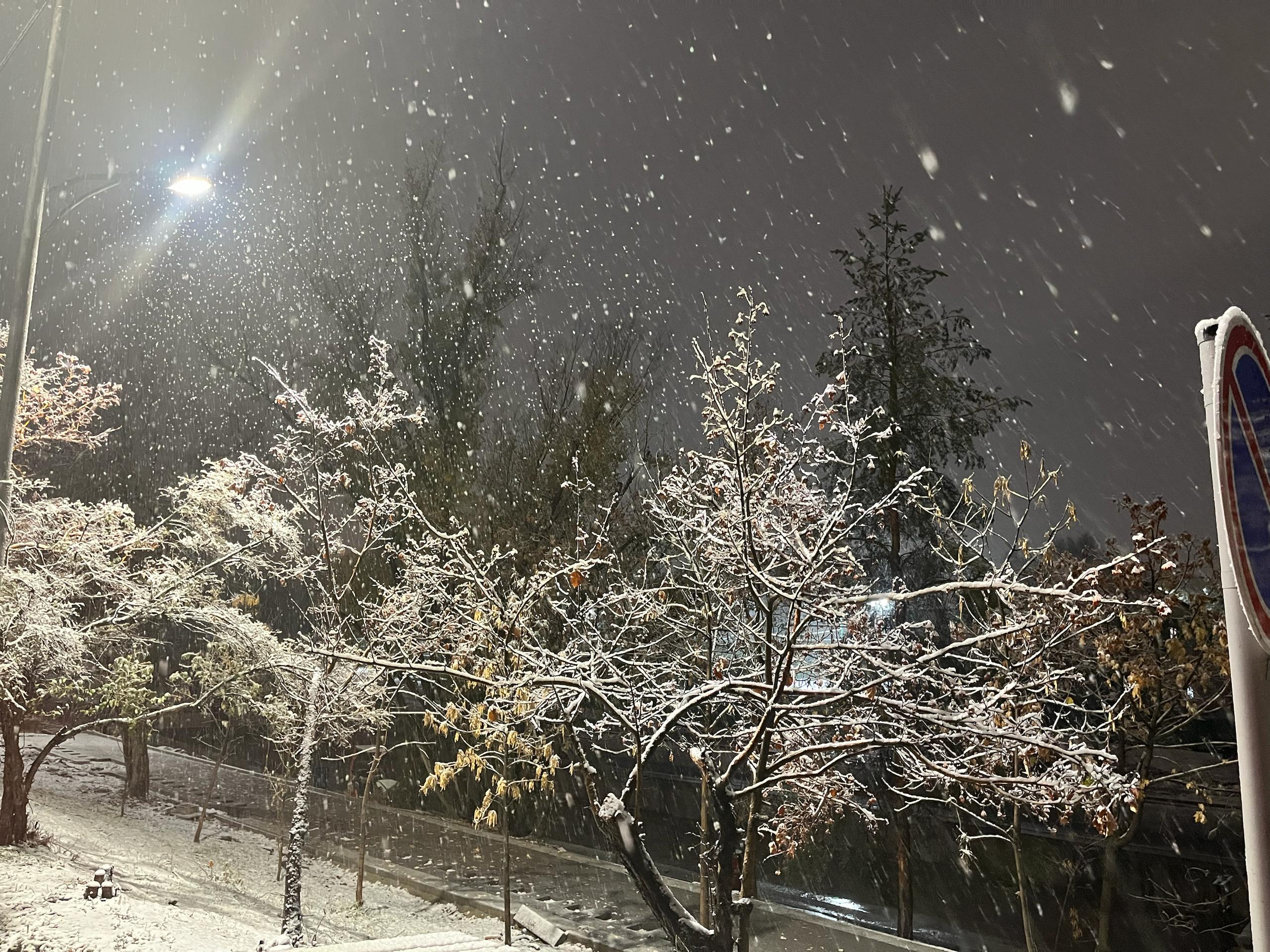 Первый снег