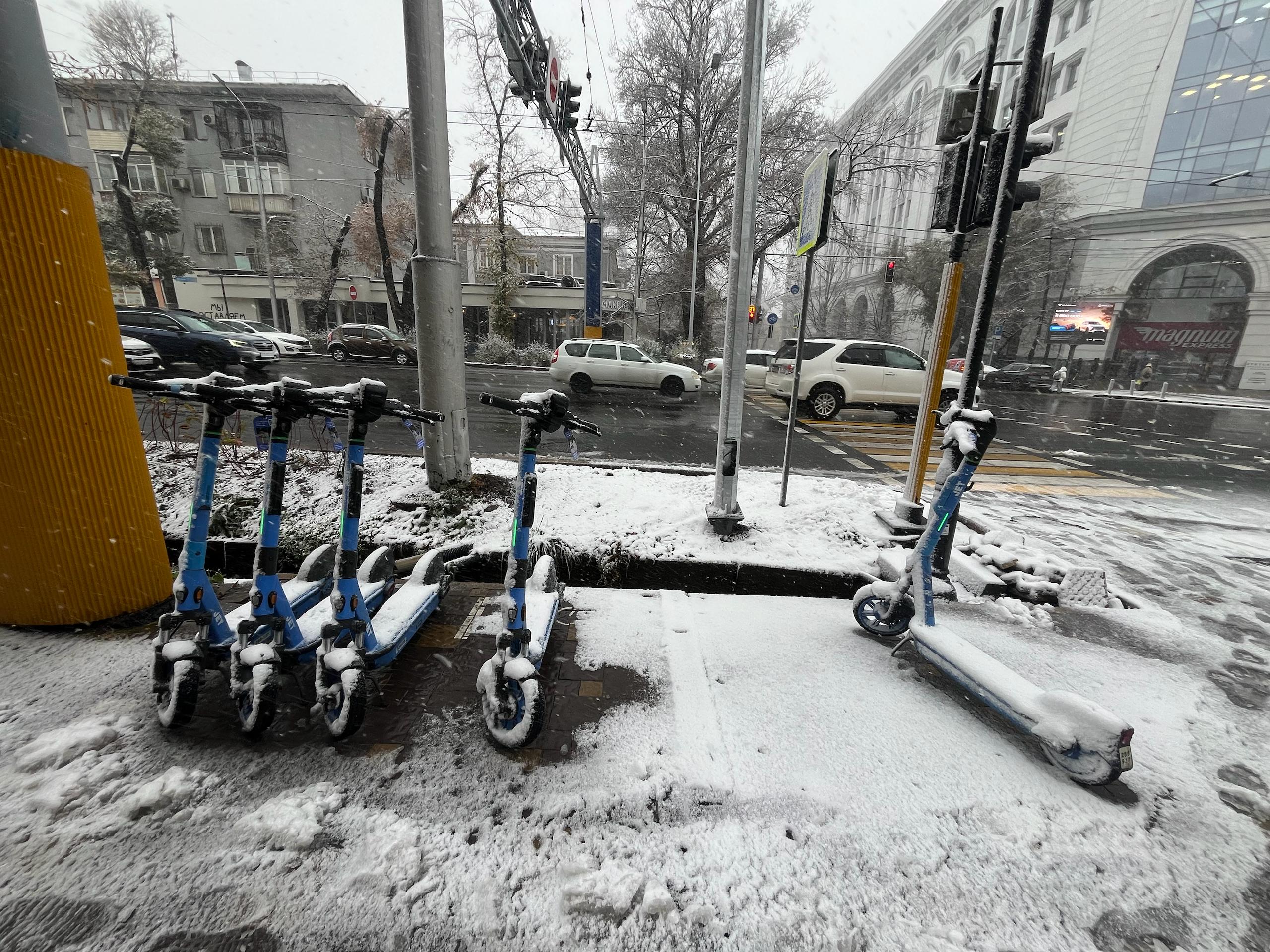 Первый снег