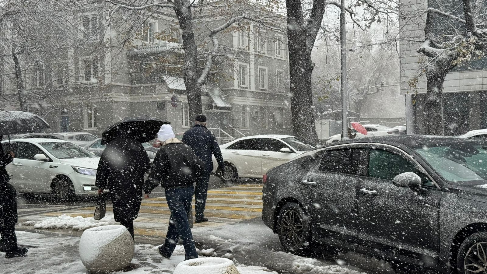 Первый снег