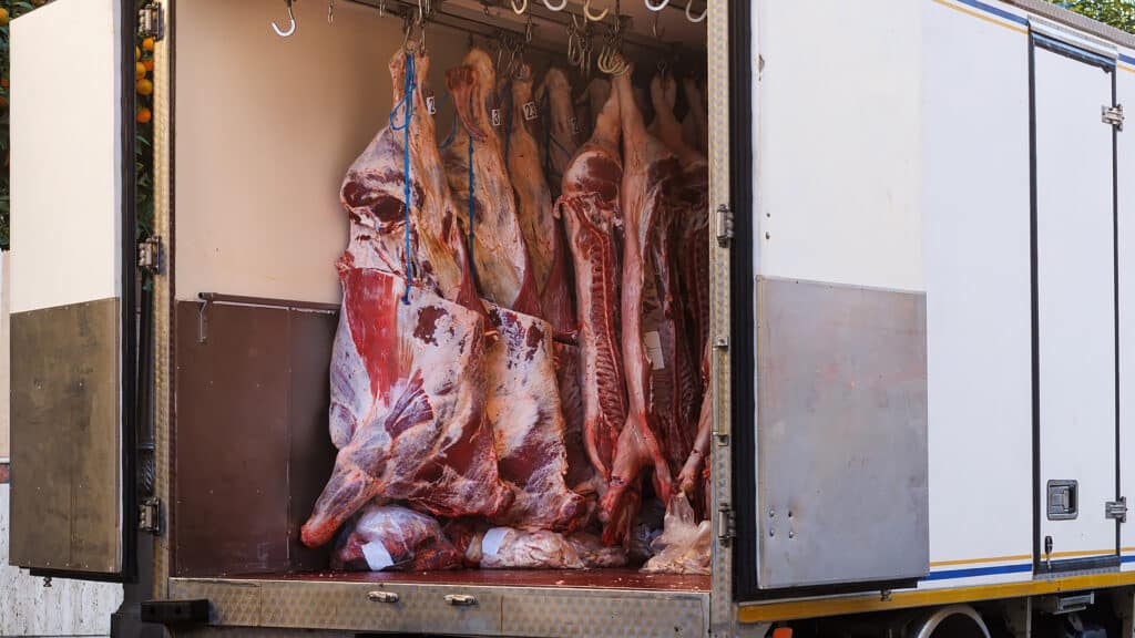 Meat factory with pork and beef hanging on hooks in refrigerated delivery truck. Butcher shop cold storage for meat distribution and supply chain