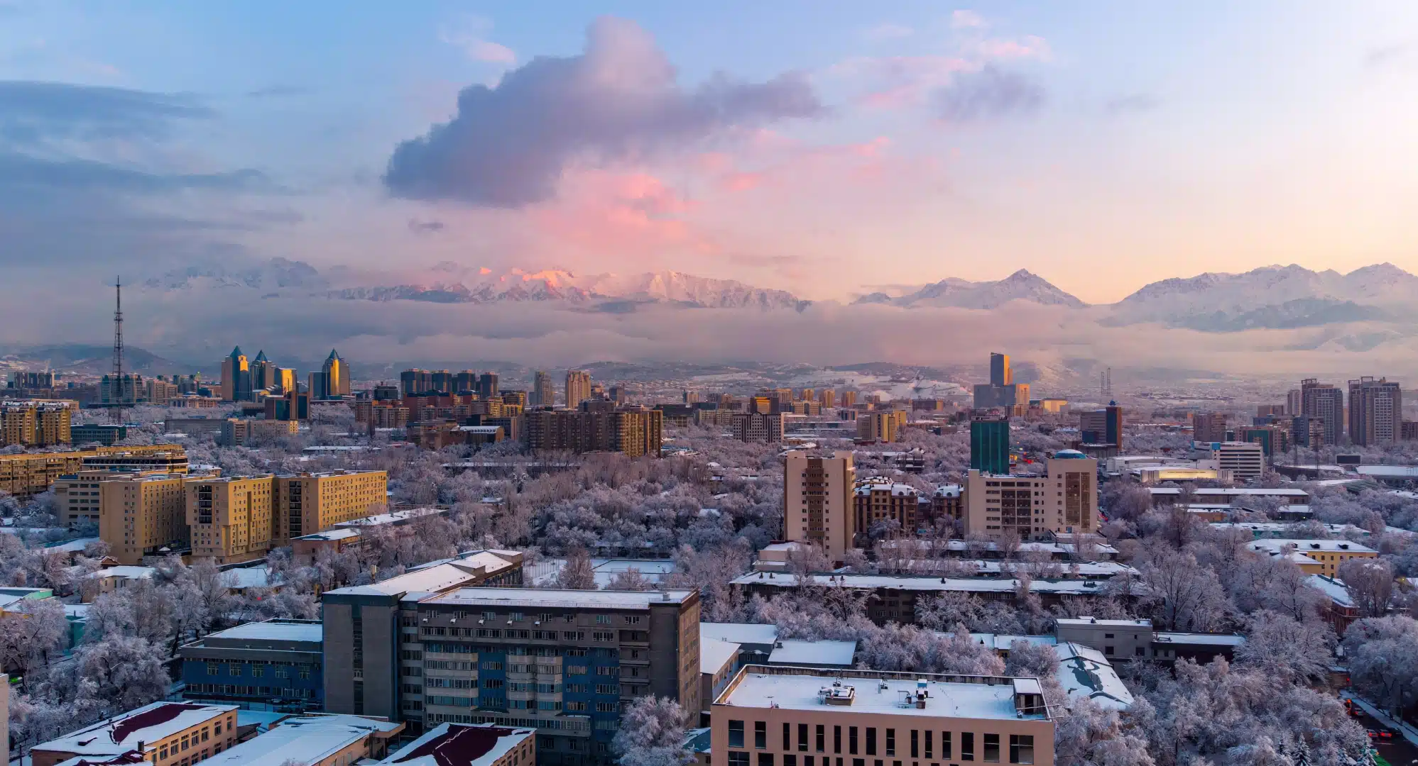 Компании из Британии и Словении сформируют образ полицентров