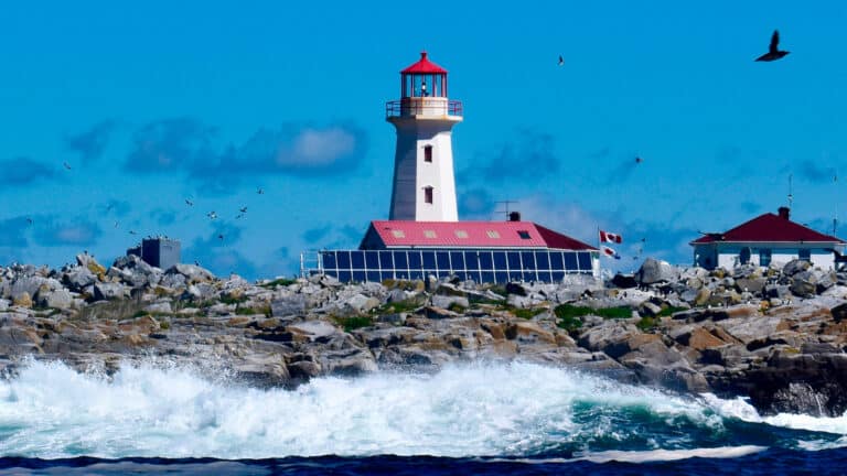 Old allies, new problems: Canadian senator presses Ottawa on disputed island