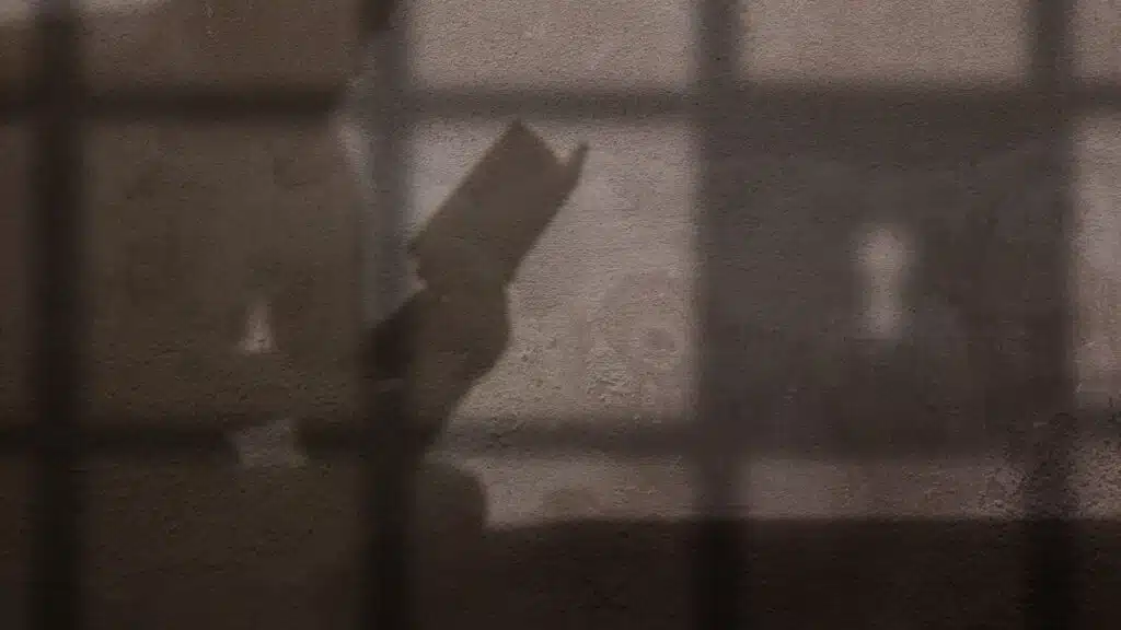 Фото: shutterstock, бильд-редактор: Адэлина Мамедова