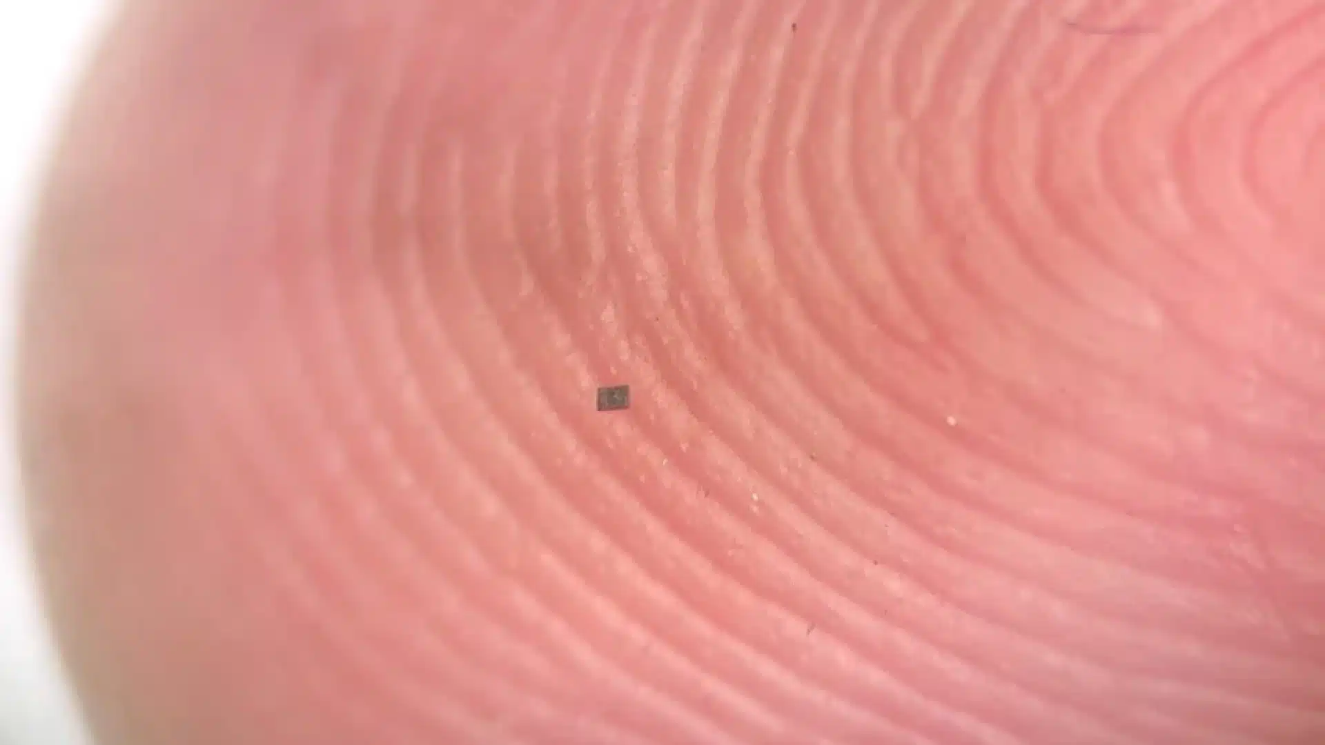 Самых маленьких в мире роботов разработали ученые США